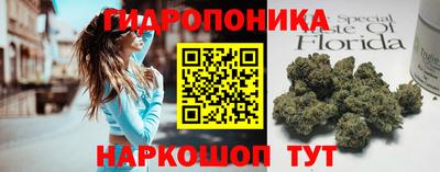 синтетический гашиш Камышлов