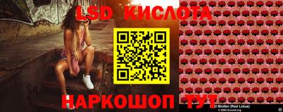 спиды Кандалакша
