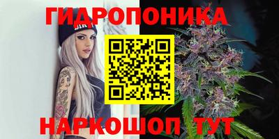 спиды Кандалакша