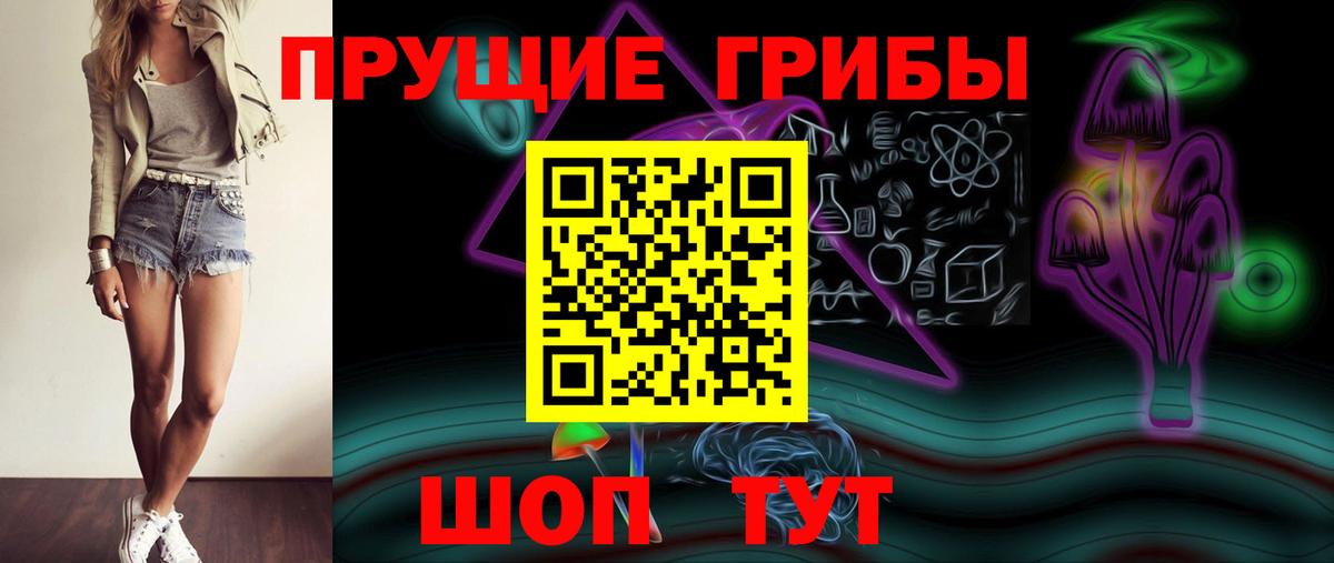 Красноярск  Галлюциногенные грибы Psilocybine cubensis  Вход с VPN 